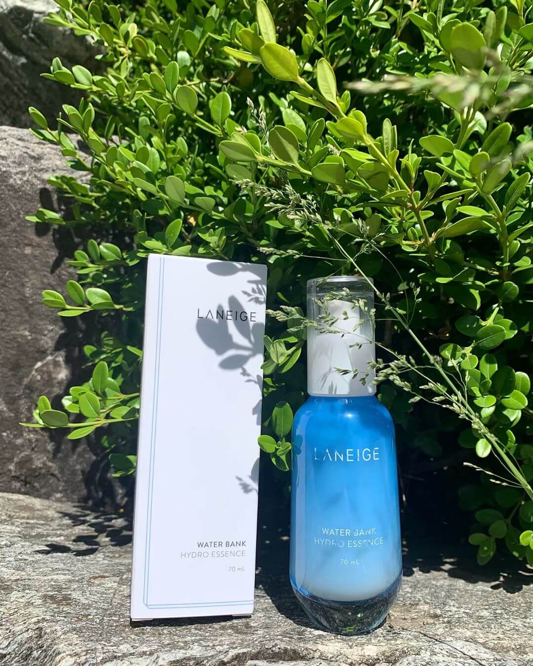 water bank hydro essence รีวิว ,water bank hydro essence review ,water bank hydro essence ,laneige water bank hydro essence 70ml, water bank hydro cream ex ,laneige water bank hydro essence review laneige ,water bank hydro essence รีวิว